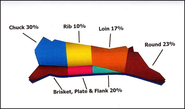 beef cutting chart custom beef processing