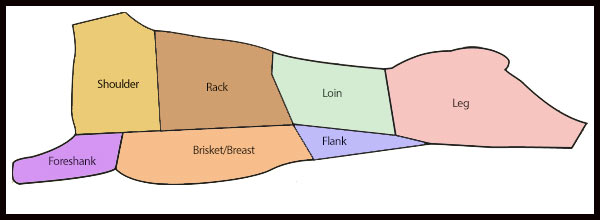 lamb chart custom lamb processing