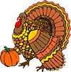 turkey for thanksgiving